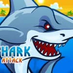 Shark Attack