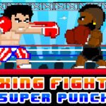 Boxing Fighter