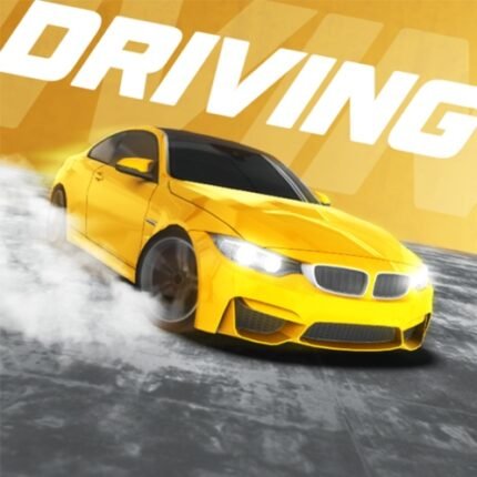 Car Driving