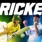 Cricket